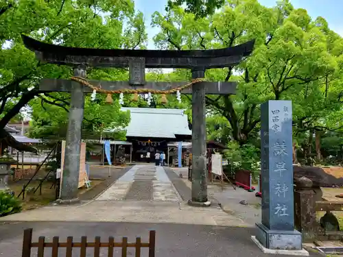 諫早神社（九州総守護  四面宮）の鳥居