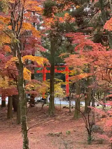 霧島神宮の自然