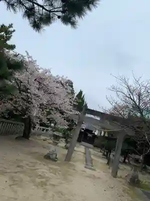 早長八幡宮の鳥居