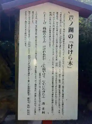 箱根神社の歴史