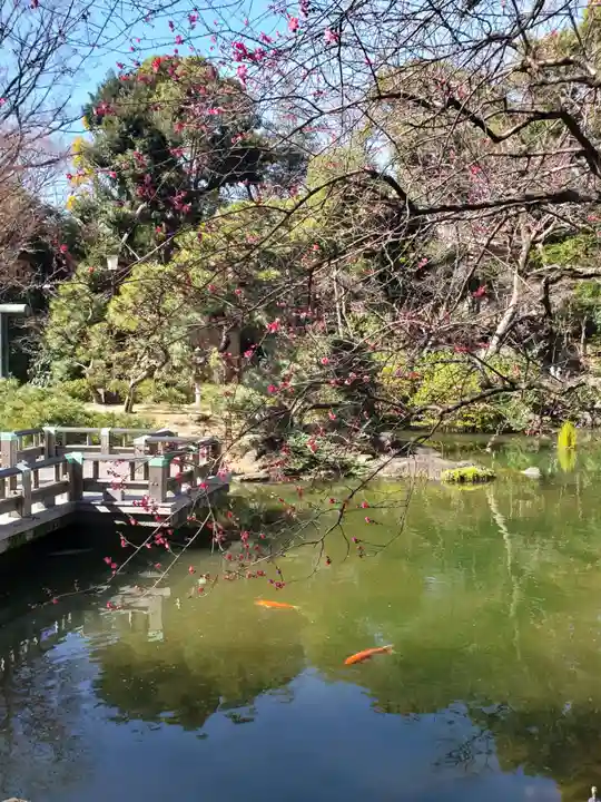 東郷神社(東京都)