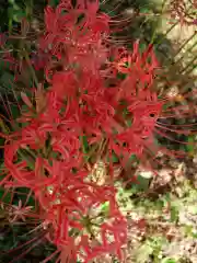 普門寺(切り絵御朱印発祥の寺)(愛知県)