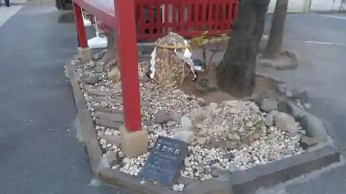 立石熊野神社の自然