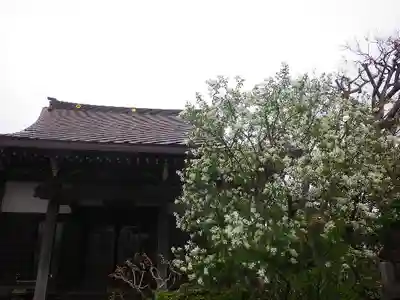 教恩寺の本殿・本堂