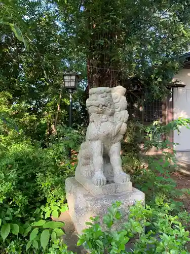 白幡神社の狛犬