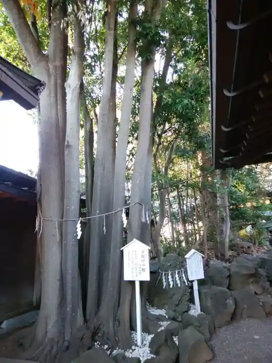 検見川神社(千葉県)