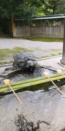 兵主大社の手水舎