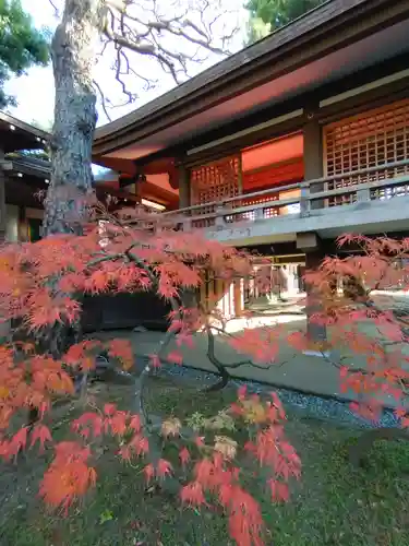 妙法寺(東京都)