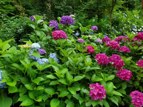 鷲子山上神社(栃木県)