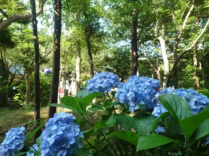 江島神社の自然