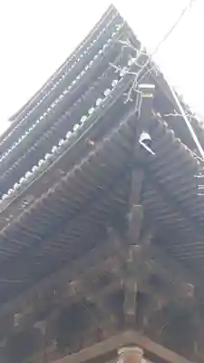 東寺（教王護国寺）(京都府)