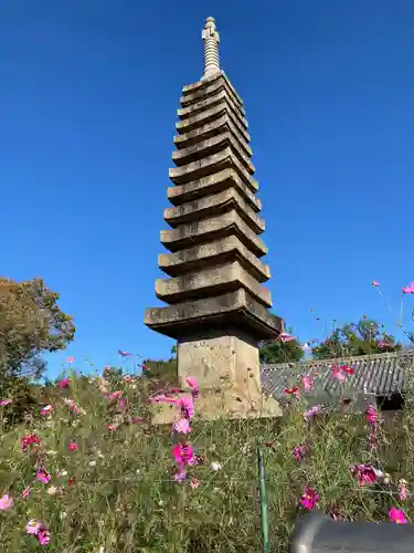般若寺 ❁﻿コスモス寺❁(奈良県)