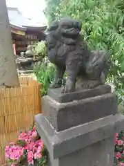 素盞雄神社の狛犬