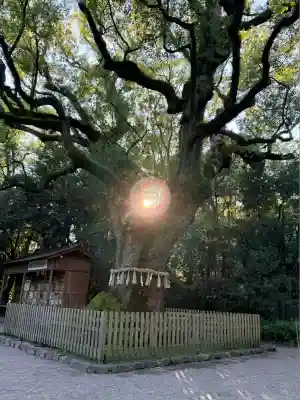 熱田神宮(愛知県)