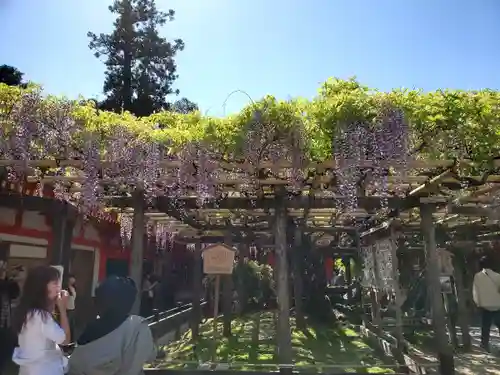 春日大社の庭園