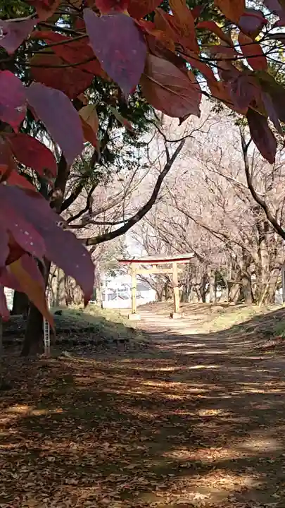 東蕗田天満社のその他建物
