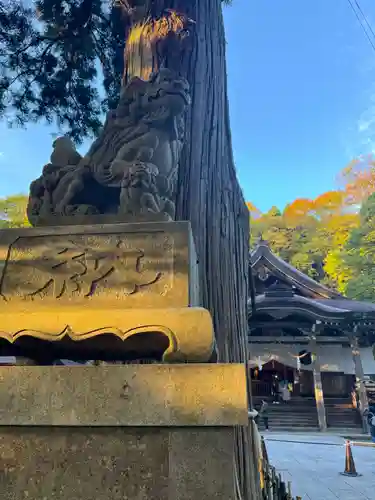 戸隠神社中社(長野県)