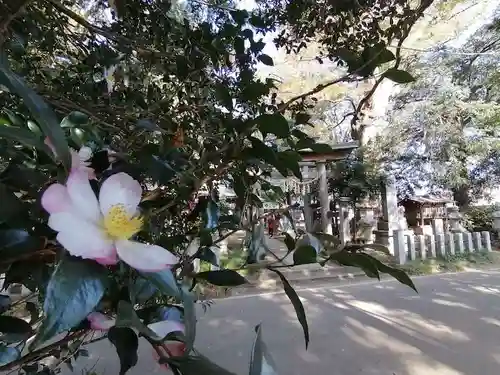 沓掛香取神社の自然