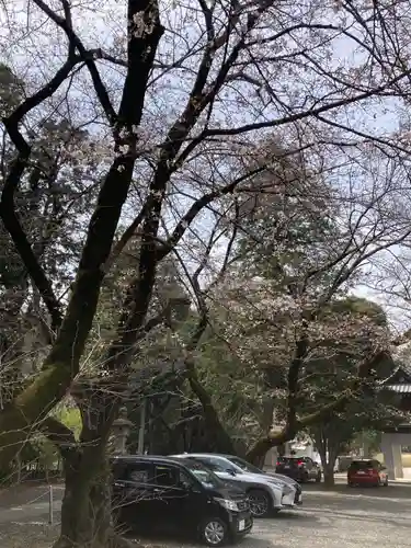 総寧寺(千葉県)