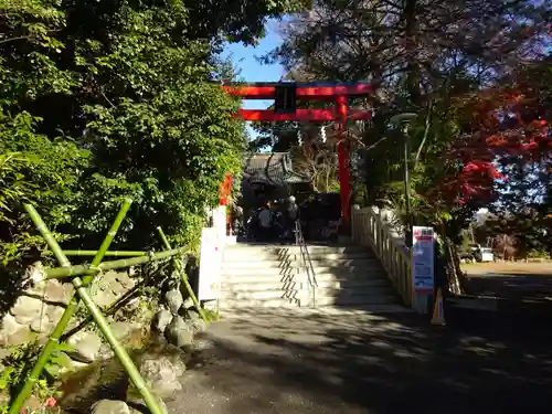 白笹稲荷神社の鳥居