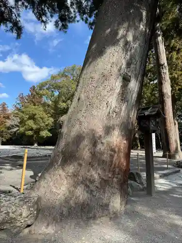 伊勢神宮外宮（豊受大神宮）(三重県)