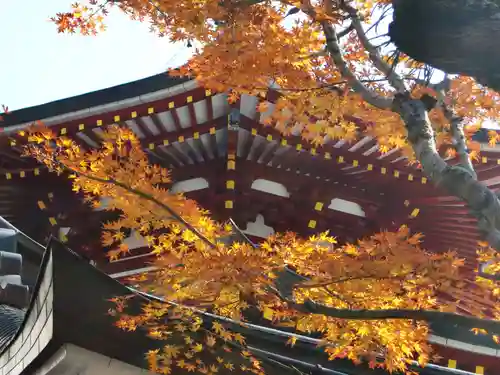 成福院(和歌山県)