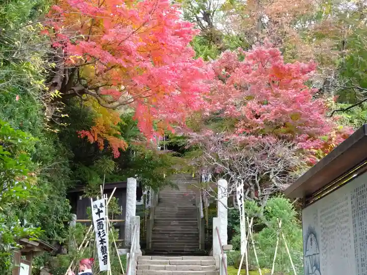 杉本寺(神奈川県)