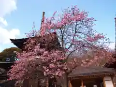 楽法寺（雨引観音）の自然