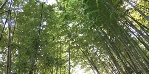 浄妙寺(神奈川県)