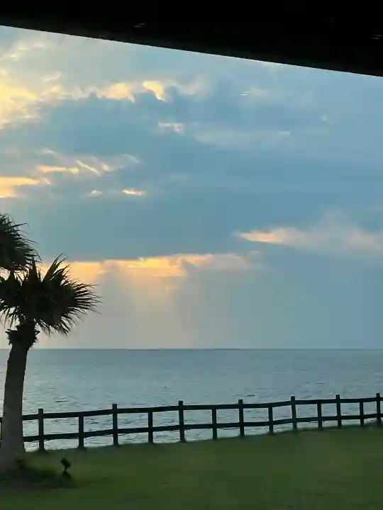 櫻井神社の{uncategorized: "未分類", other: "その他", undefined: "問題あり", building: "その他建物", grave: "お墓", sacred_gate: "鳥居", guardian: "狛犬", statue: "像", buddha: "仏像", history: "歴史", nature: "自然", garden: "庭園", animal: "動物", pagoda: "塔", temizu: "手水舎", mountain_gate: "山門・神門", sanctuary: "本殿・本堂", subordinate: "末社・摂社", art: "芸術", scenery: "景色", jizo: "地蔵", ema: "絵馬", goshuin: "御朱印", omikuji: "おみくじ", items: "授与品その他", amulet: "お守り", goshuincho: "御朱印帳", eats: "食事", festival: "お祭り", votive_dance: "神楽", shichigosan: "七五三参", wedding: "結婚式", experience: "体験その他", initially: "初詣", around: "周辺", anti_infection: "感染症対策"}