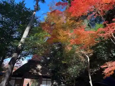 法然院(京都府)