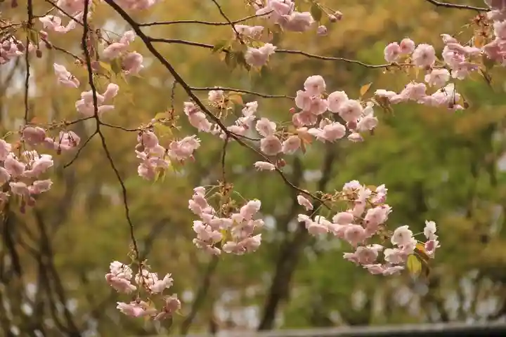 磐椅神社の自然
