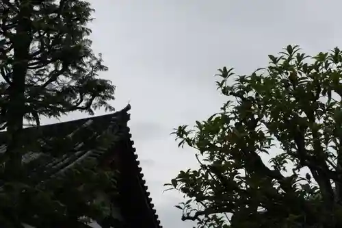  智積院(京都府)