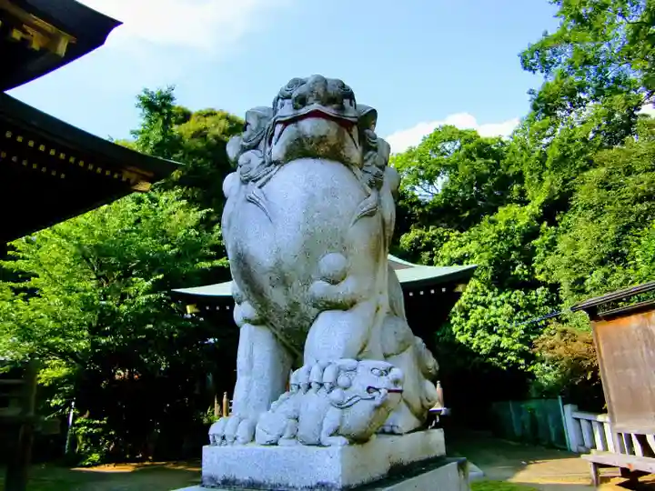 赤羽八幡神社の狛犬