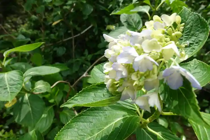 長谷寺(奈良県)