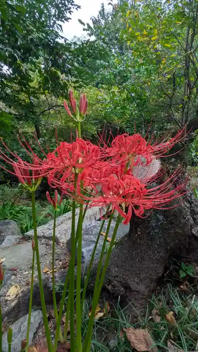 平野神社(京都府)