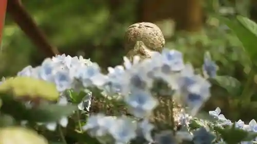岡寺（龍蓋寺）(奈良県)