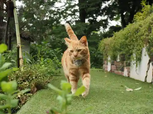 天王山 安楽寺(福井県)