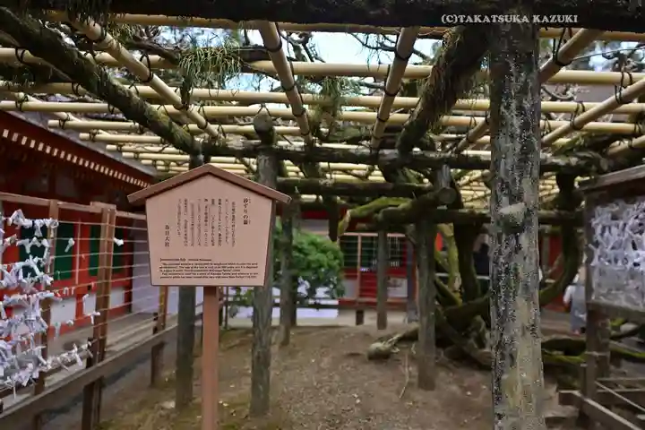 春日大社(奈良県)