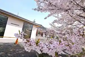 津観音(三重県)(2026年04月10日(金) 11時51分30秒投稿)