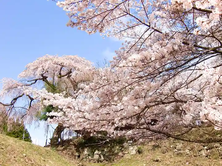 西光寺(奈良県)
