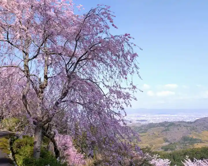 善峯寺(京都府)