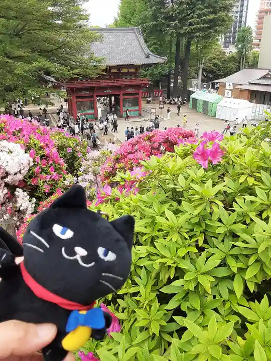 根津神社(東京都)