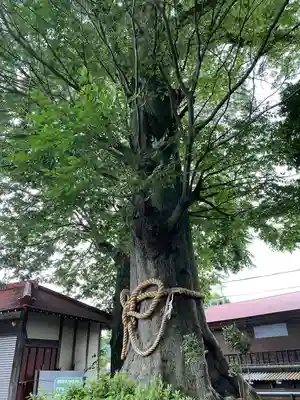 御嶽神社(神奈川県)