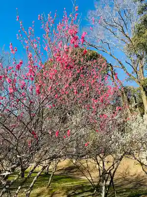 東行庵(山口県)