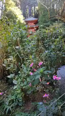 岩船寺(京都府)