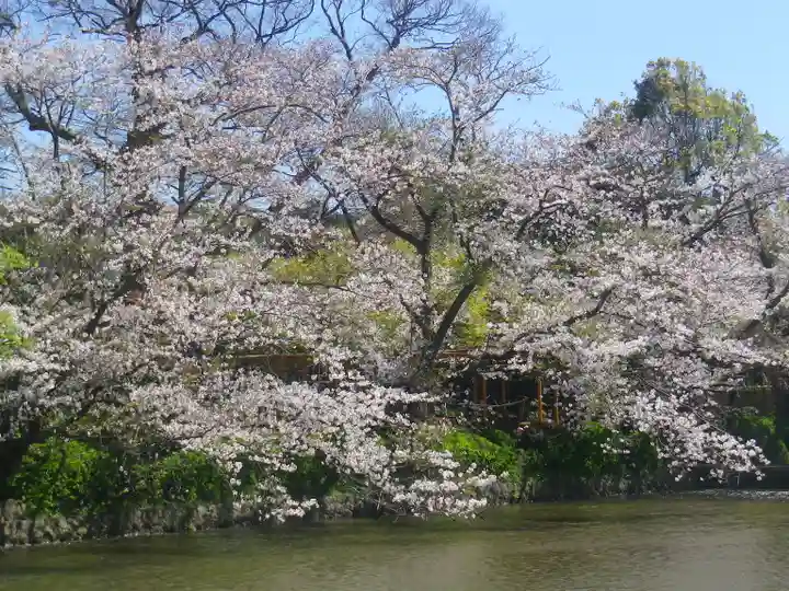 鶴岡八幡宮の庭園