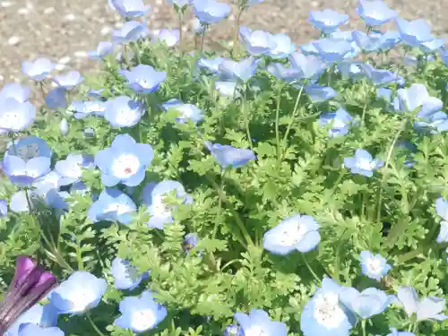 宇都母知神社(神奈川県)