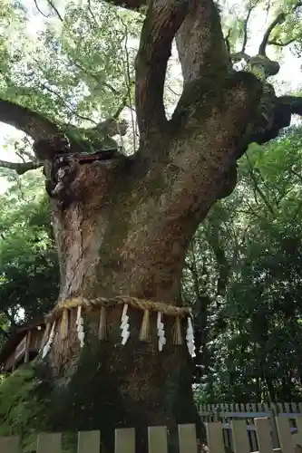 熱田神宮(愛知県)