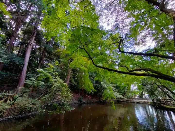 石上神宮の自然